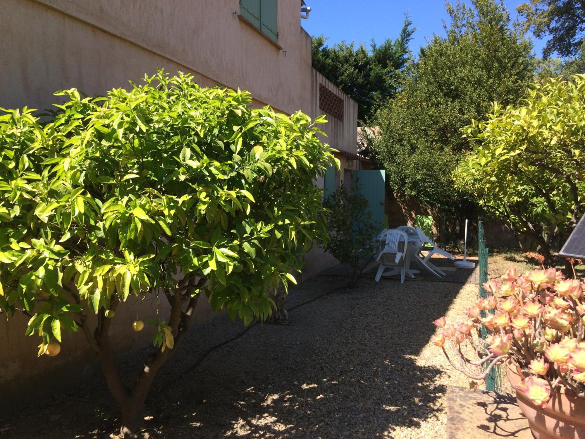Ferienwohnung Les Oliviers Grimaud Zimmer foto